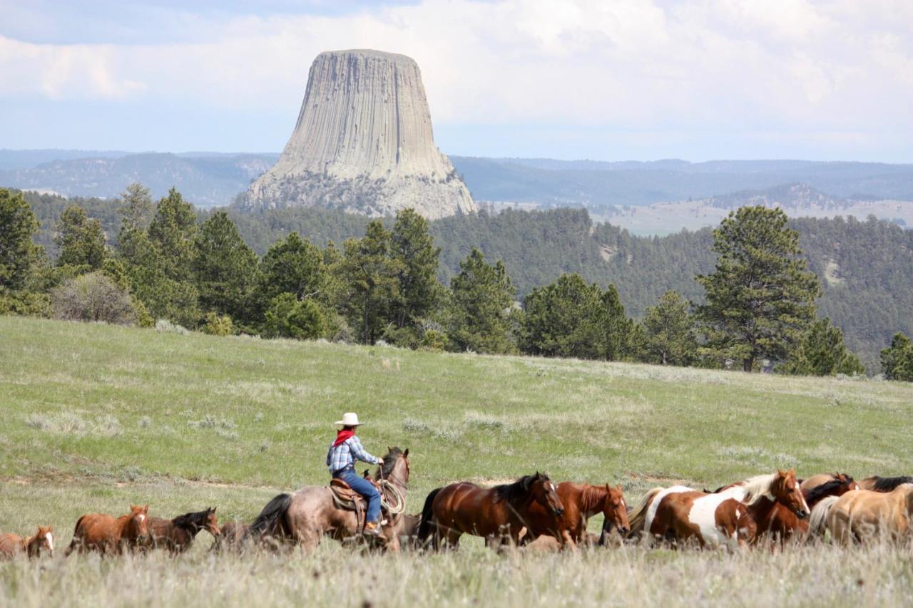 Devils Tower Lake Guest Ranchヴィラ エクステリア 写真
